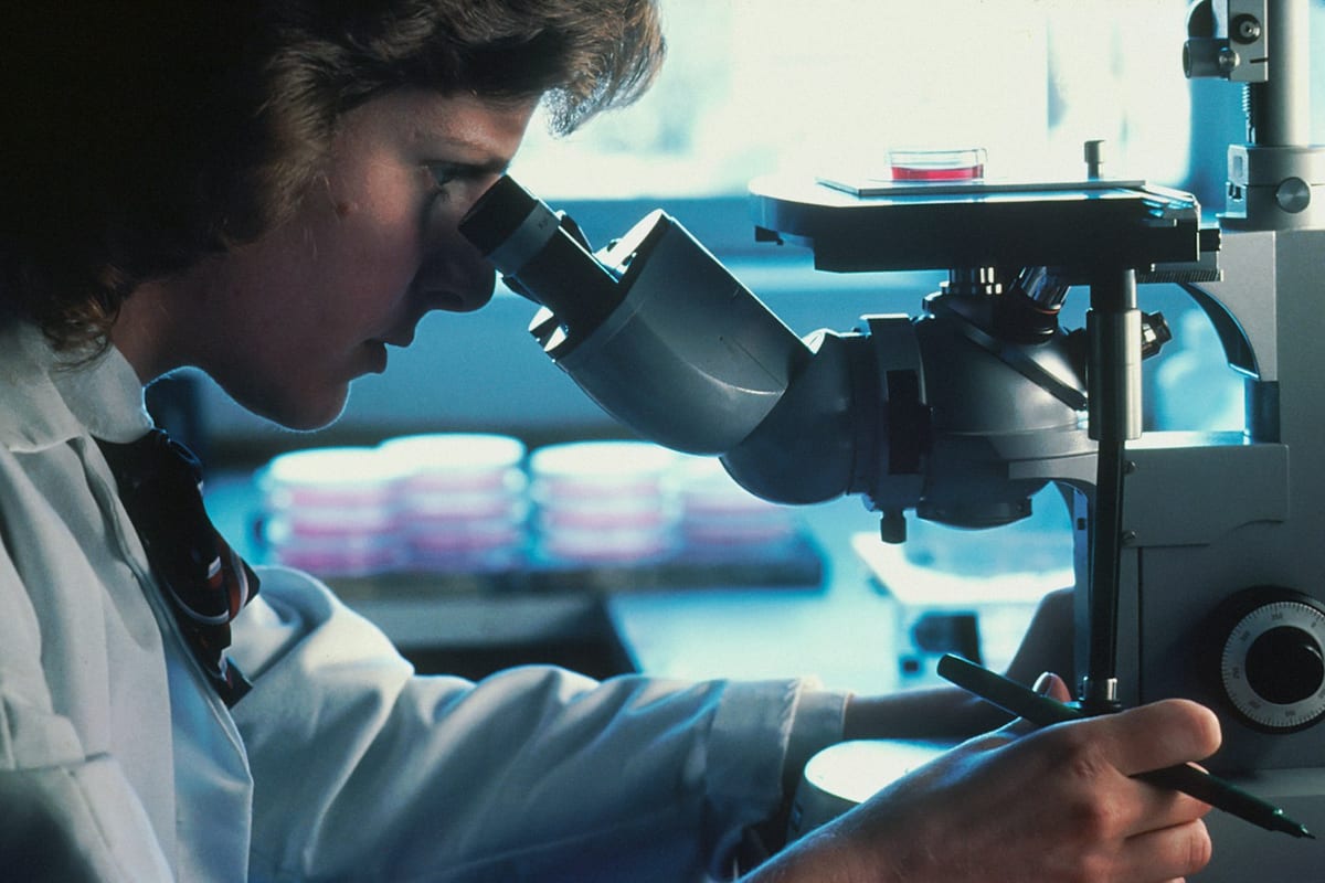 MedTech-Spin-off (Leuven): KI-gestütztes Wundmonitoring – Seed+ 2,5 Mio. €