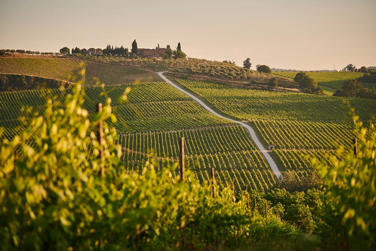 Weingut im Chianti Classico: 12 ha Reben, Kellerei, Agriturismo – Familie verkauft